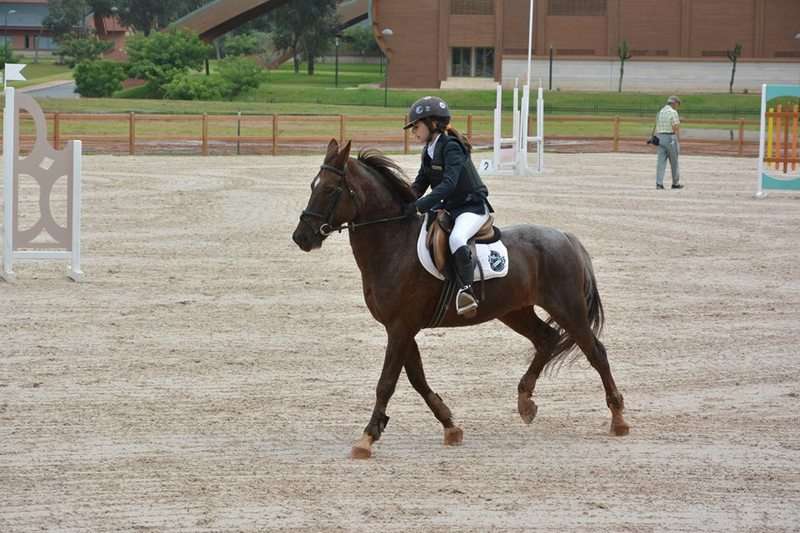 Royal-club-equestre-dar-es-salam-Rabat